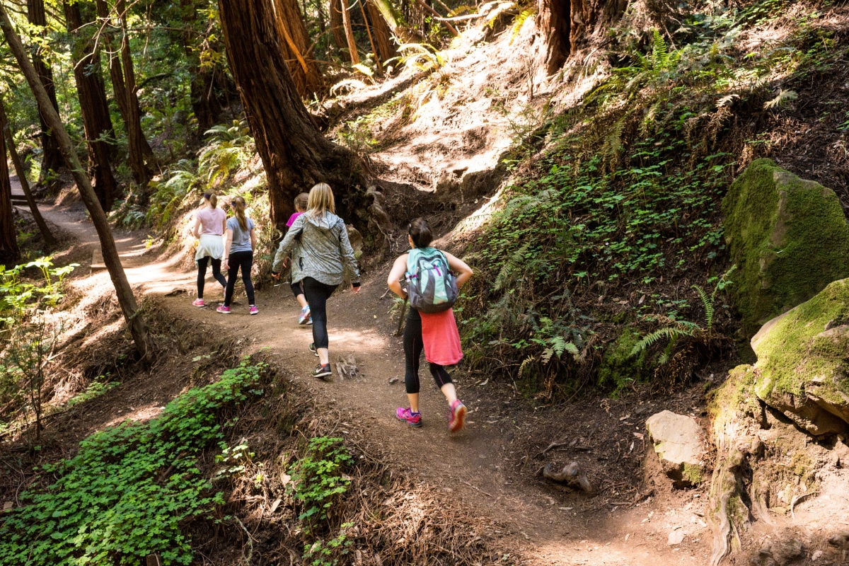 hikers on dirt path in redwood grove