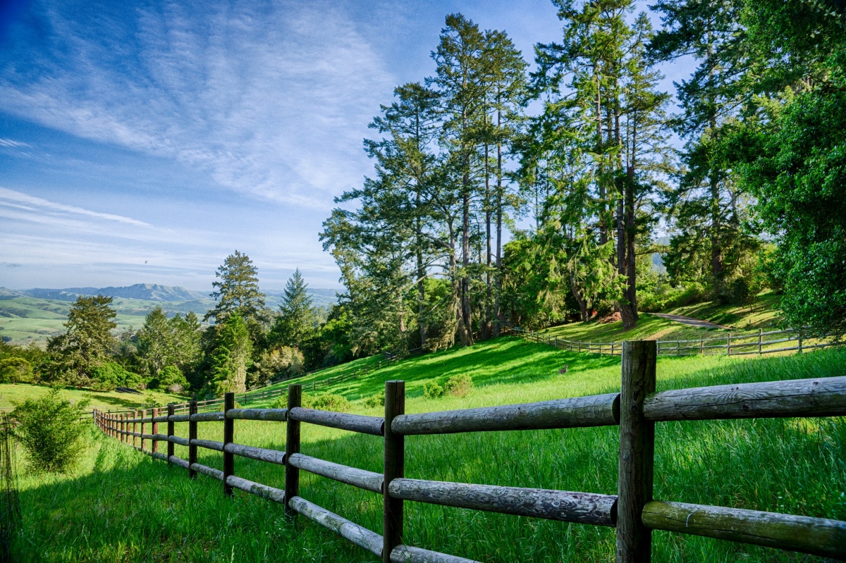 wooden fence in a field with trees
