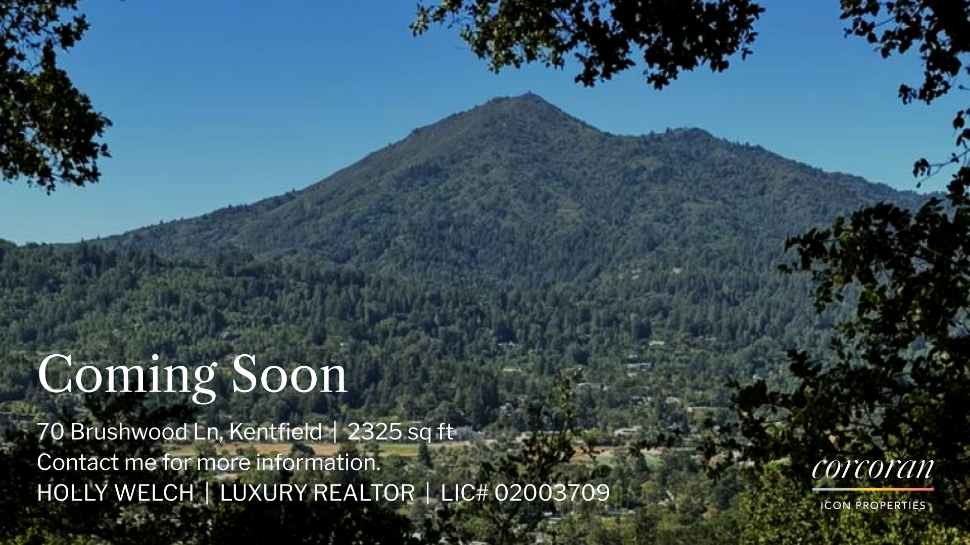 Image of Mountain with text: Coming soon 70 Brushwood Ln, Kentfield | 2325 sq ft