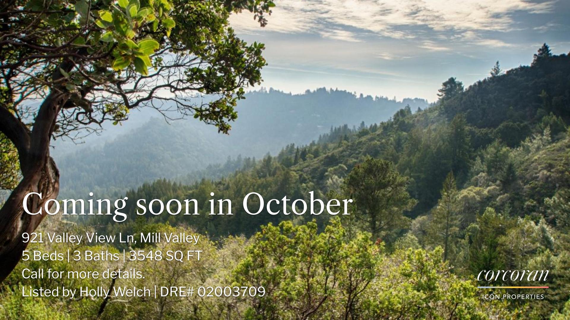 921 Valley View Ln, Mill Valley